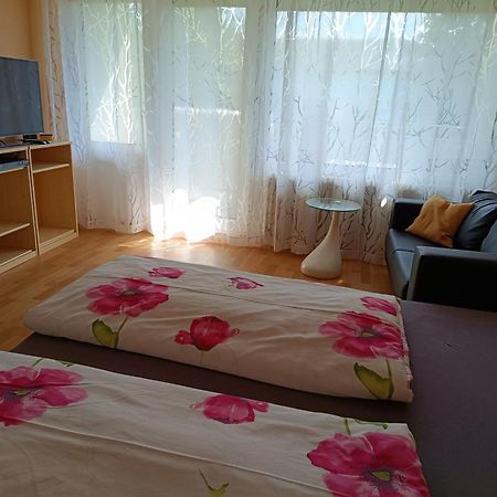 Offenburg Apartment 外观 照片