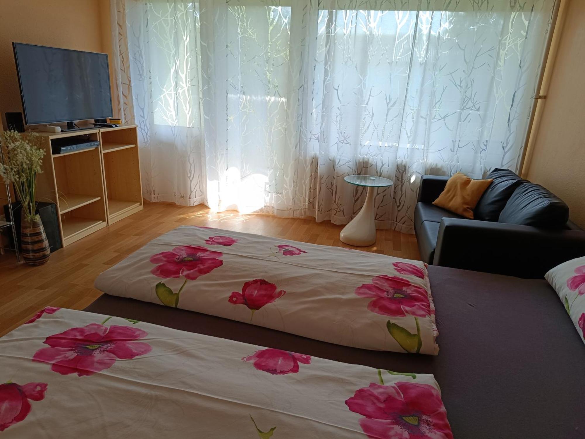 Offenburg Apartment 外观 照片