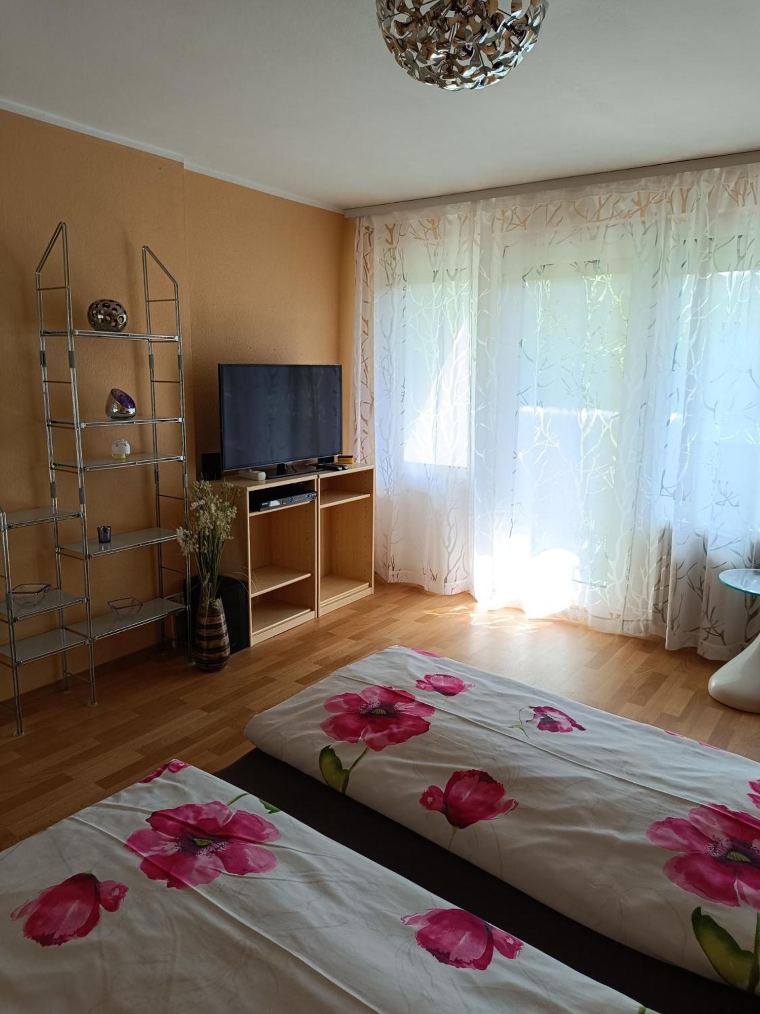 Offenburg Apartment 外观 照片